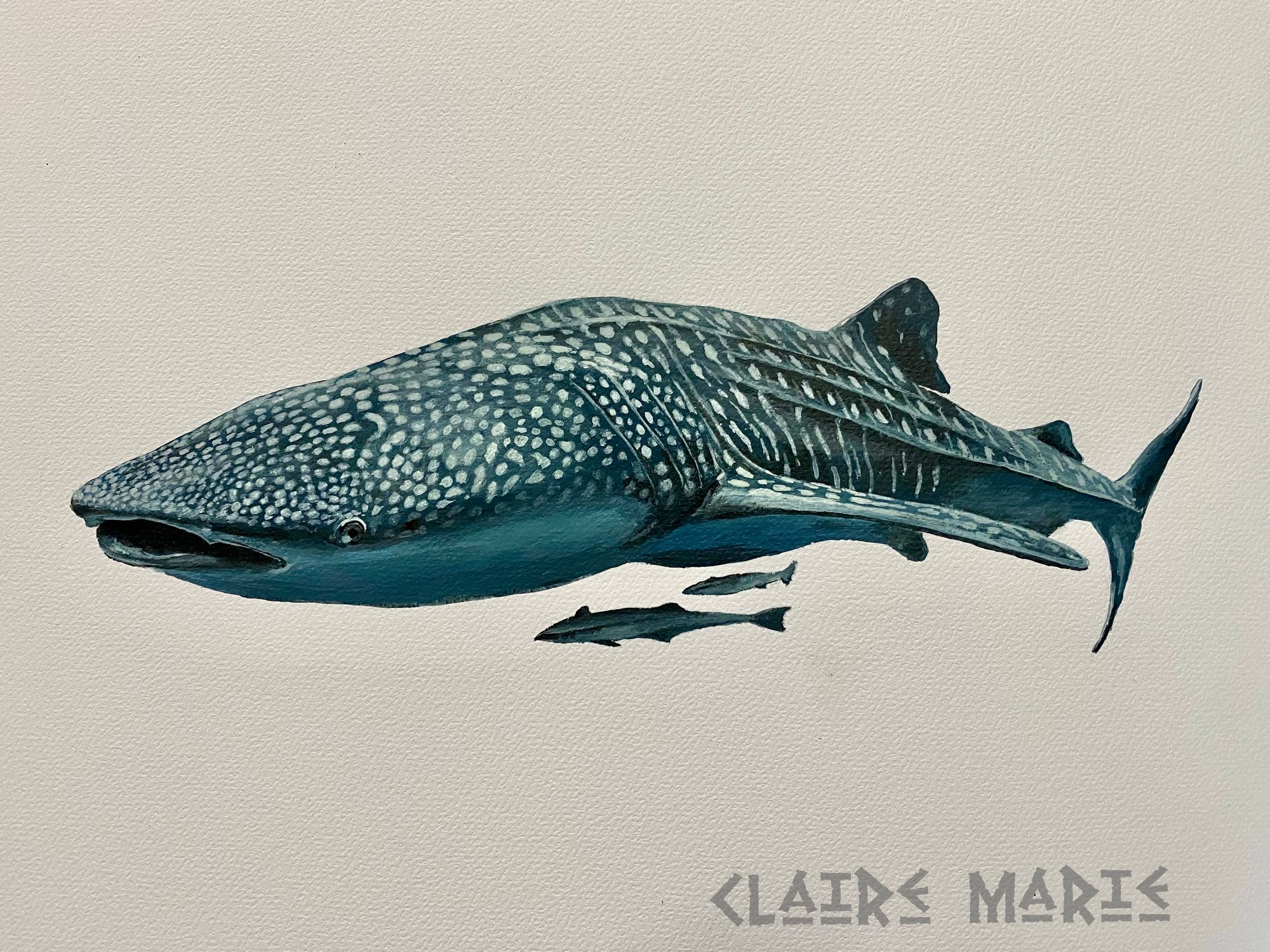 Whale Shark print by Déborah Maradan | Posterlounge