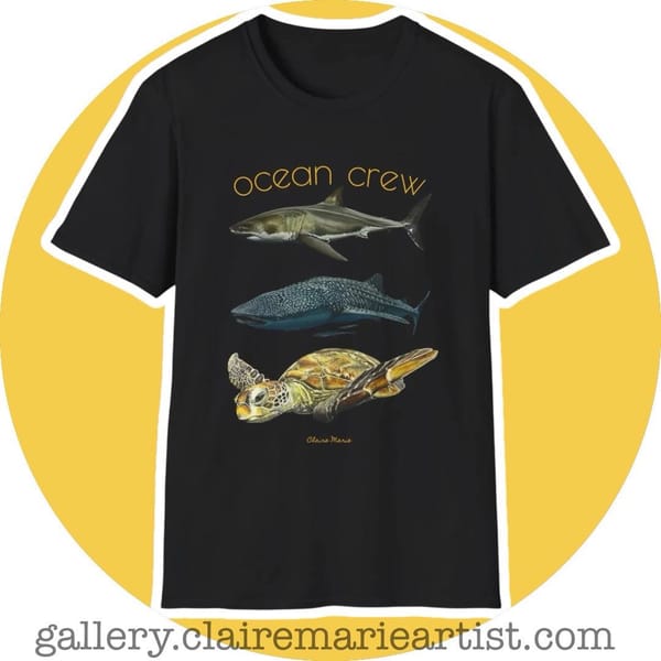 From My Studio to Your Wardrobe